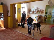 Bezpečný pes - kynologie